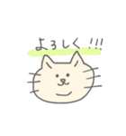 よろしくねこたん（個別スタンプ：1）