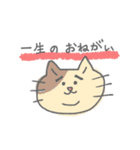 よろしくねこたん（個別スタンプ：13）