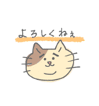 よろしくねこたん（個別スタンプ：14）