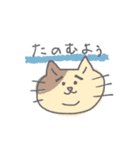 よろしくねこたん（個別スタンプ：15）
