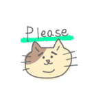 よろしくねこたん（個別スタンプ：16）