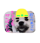 田中なるとくん（個別スタンプ：1）