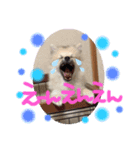 田中なるとくん（個別スタンプ：4）