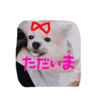 田中なるとくん（個別スタンプ：11）