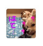 田中なるとくん（個別スタンプ：12）