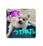 田中なるとくん（個別スタンプ：15）