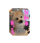 田中なるとくん（個別スタンプ：16）