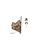 ヨーキーのスタンプ(毛短め)（個別スタンプ：5）