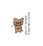 ヨーキーのスタンプ(毛短め)（個別スタンプ：6）