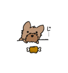 ヨーキーのスタンプ(毛短め)（個別スタンプ：17）