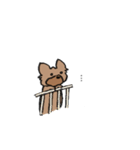 ヨーキーのスタンプ(毛短め)（個別スタンプ：27）