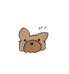 ヨーキーのスタンプ(毛短め)（個別スタンプ：40）