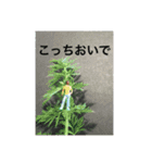ジオラマ人・一言（個別スタンプ：6）