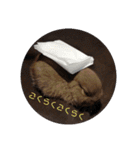 うさぎピナスタンプ（個別スタンプ：11）