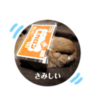 うさぎピナスタンプ（個別スタンプ：15）