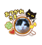 プリプリあんたろう2（個別スタンプ：3）