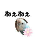 ♀こじろー2（個別スタンプ：1）