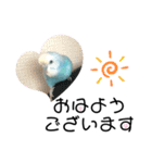 ♀こじろー2（個別スタンプ：3）