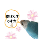 ♀こじろー2（個別スタンプ：4）
