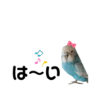 ♀こじろー2（個別スタンプ：7）