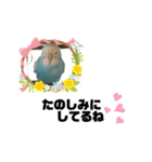 ♀こじろー2（個別スタンプ：8）
