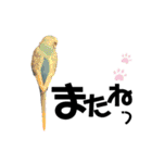 ♀こじろー2（個別スタンプ：13）