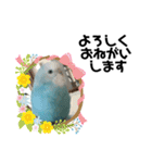 ♀こじろー2（個別スタンプ：15）