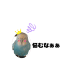 ♀こじろー2（個別スタンプ：23）