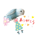 ♀こじろー2（個別スタンプ：24）