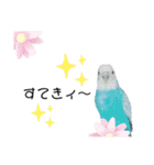 ♀こじろー2（個別スタンプ：29）