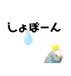 ♀こじろー2（個別スタンプ：31）