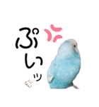 ♀こじろー2（個別スタンプ：36）