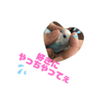 ♀こじろー2（個別スタンプ：37）