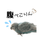 ♀こじろー2（個別スタンプ：39）