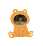 てんちゃんの家（個別スタンプ：4）