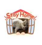 てんちゃんの家（個別スタンプ：5）