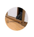 我が家の愛犬Rifu（個別スタンプ：18）