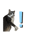 猫又たまみ（個別スタンプ：25）
