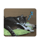 猫又たまみ（個別スタンプ：33）