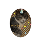 猫又たまみ（個別スタンプ：40）