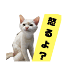 I am Gyoza！！！（個別スタンプ：14）