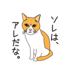 ネコのジョー（個別スタンプ：10）