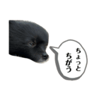 渡辺福太郎2（個別スタンプ：15）