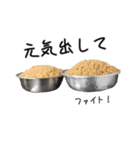 台湾の美味しいスタンプ 2（個別スタンプ：23）