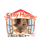 コロナにも負けないニャー⁉️（個別スタンプ：20）