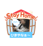 コロナにも負けないニャー⁉️（個別スタンプ：39）