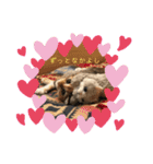 あたしTAMTAM（個別スタンプ：3）