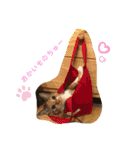 あたしTAMTAM（個別スタンプ：5）
