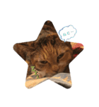 あたしTAMTAM（個別スタンプ：7）