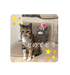 あたしTAMTAM（個別スタンプ：16）